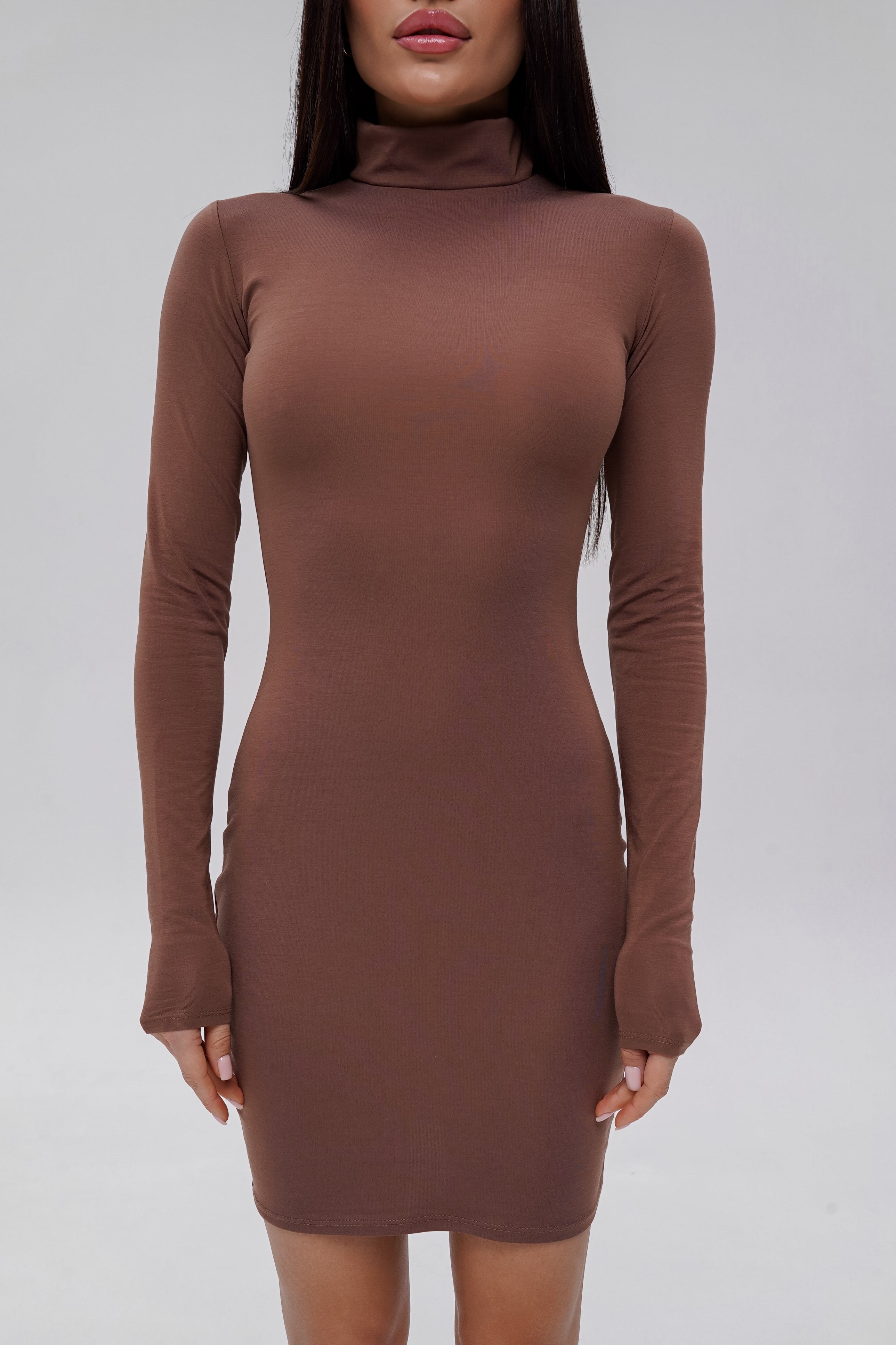 Basic Turtleneck Dress Mini Brown