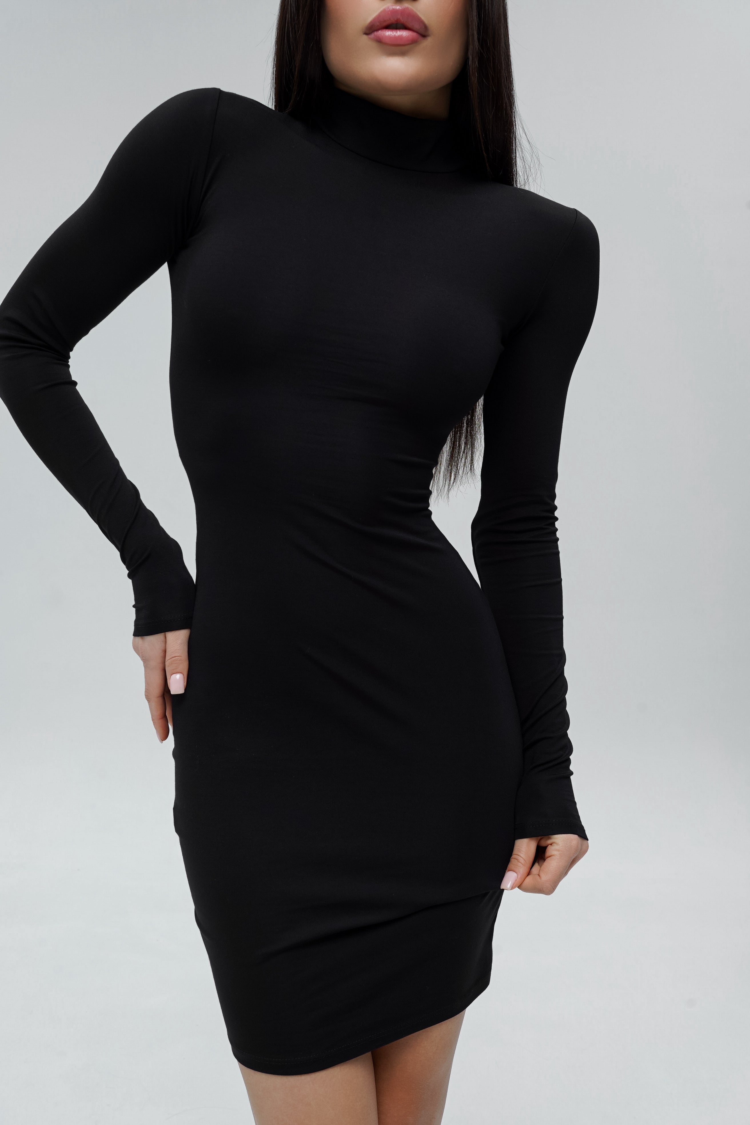 Basic Turtleneck Dress Mini Black