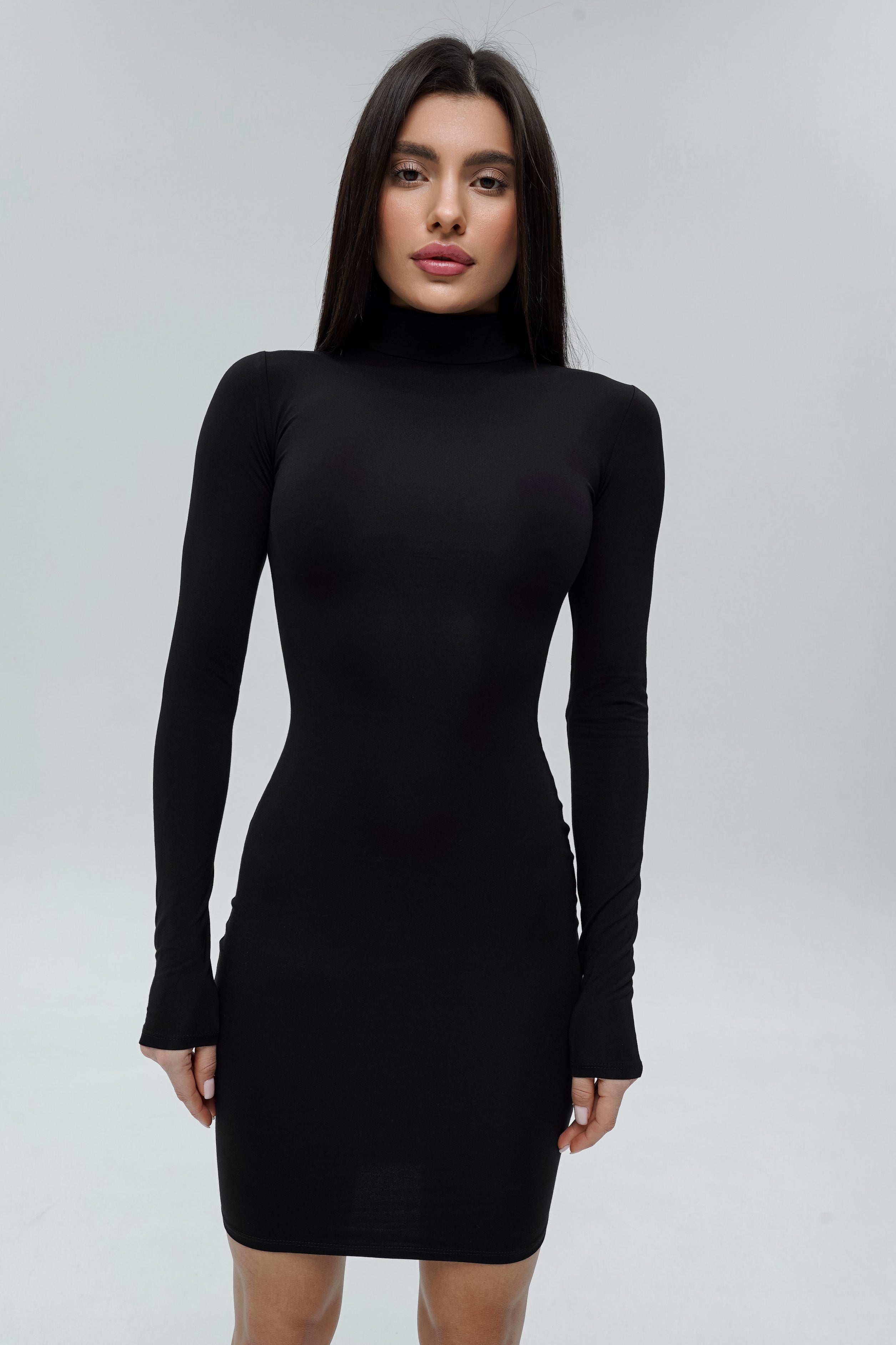 Basic Turtleneck Dress Mini Black